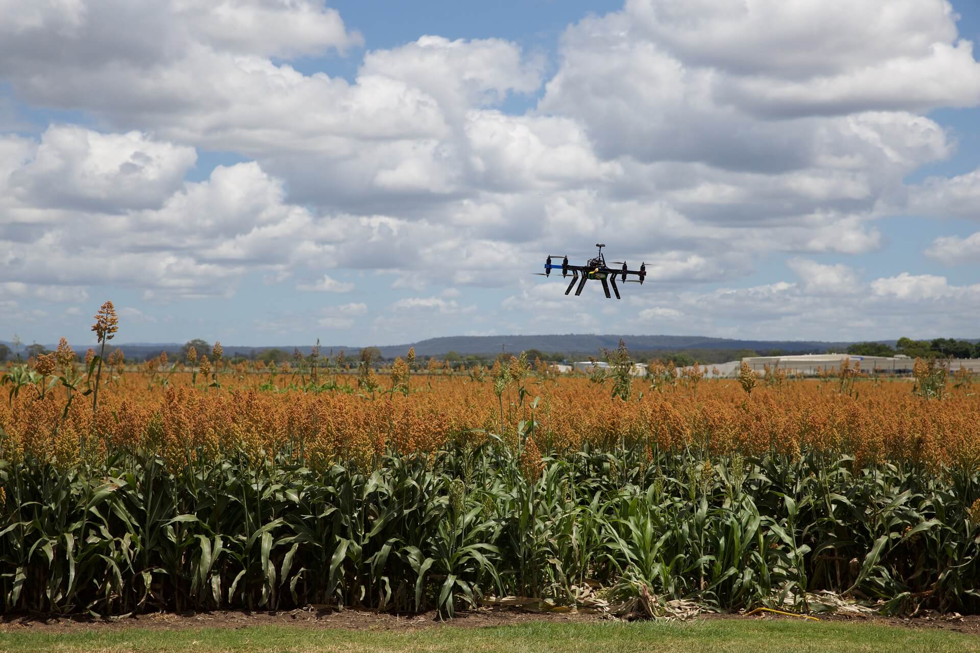 An Inside Look At How Robotic Process Automation In Agribusiness Is More Effective & Profitable