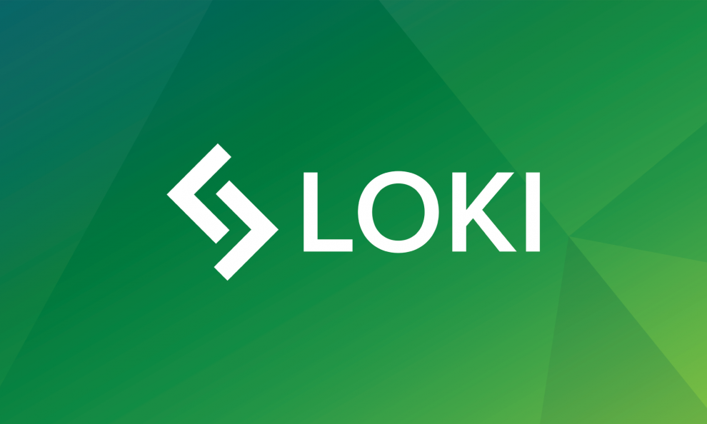 Understanding Loki Hybrid Consensus Algorithm